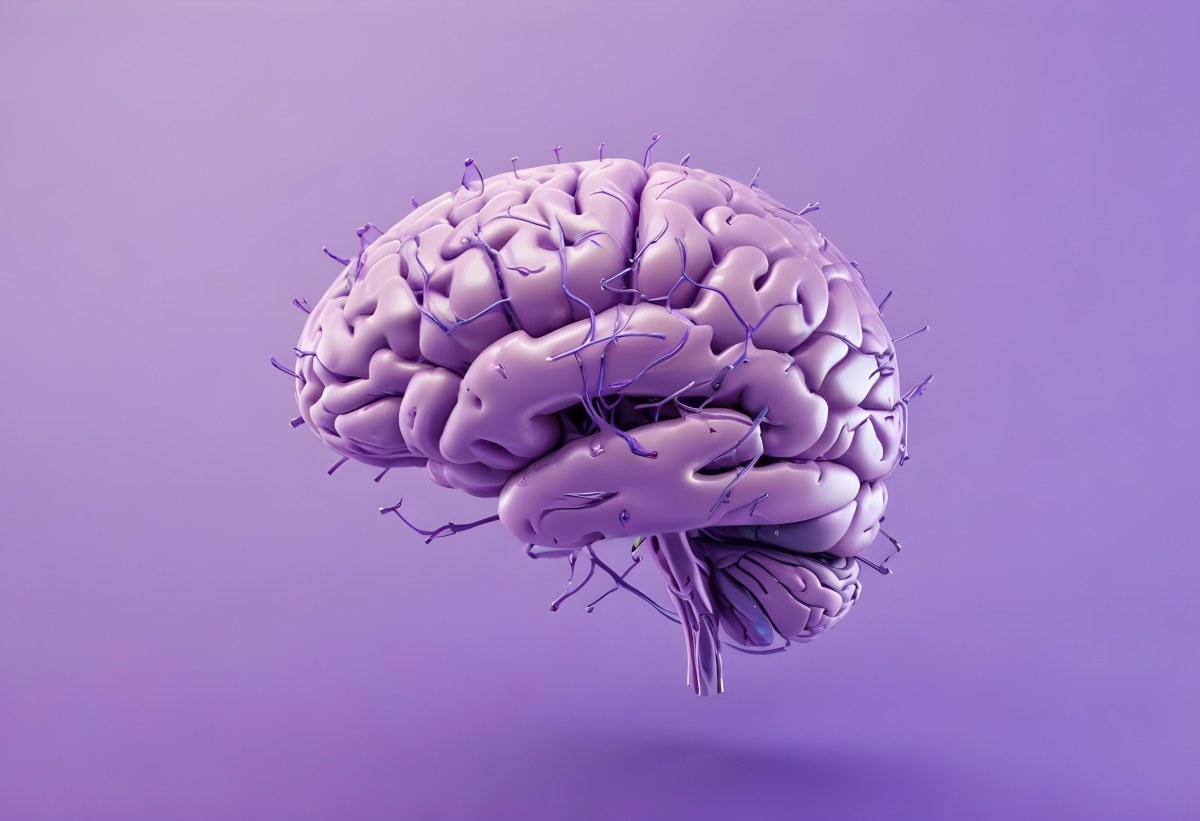 A Brain With A Neural Network Around It Purple Background Anatomical Detailed Intricate Realistic High Resolution Studio Lighting Clean 4 B998