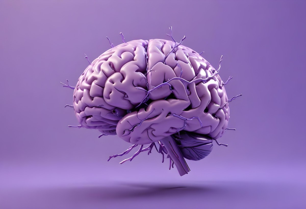A Brain With A Neural Network Around It Purple Background Anatomical Detailed Intricate Realistic High Resolution Studio Lighting Clean 5 48bf