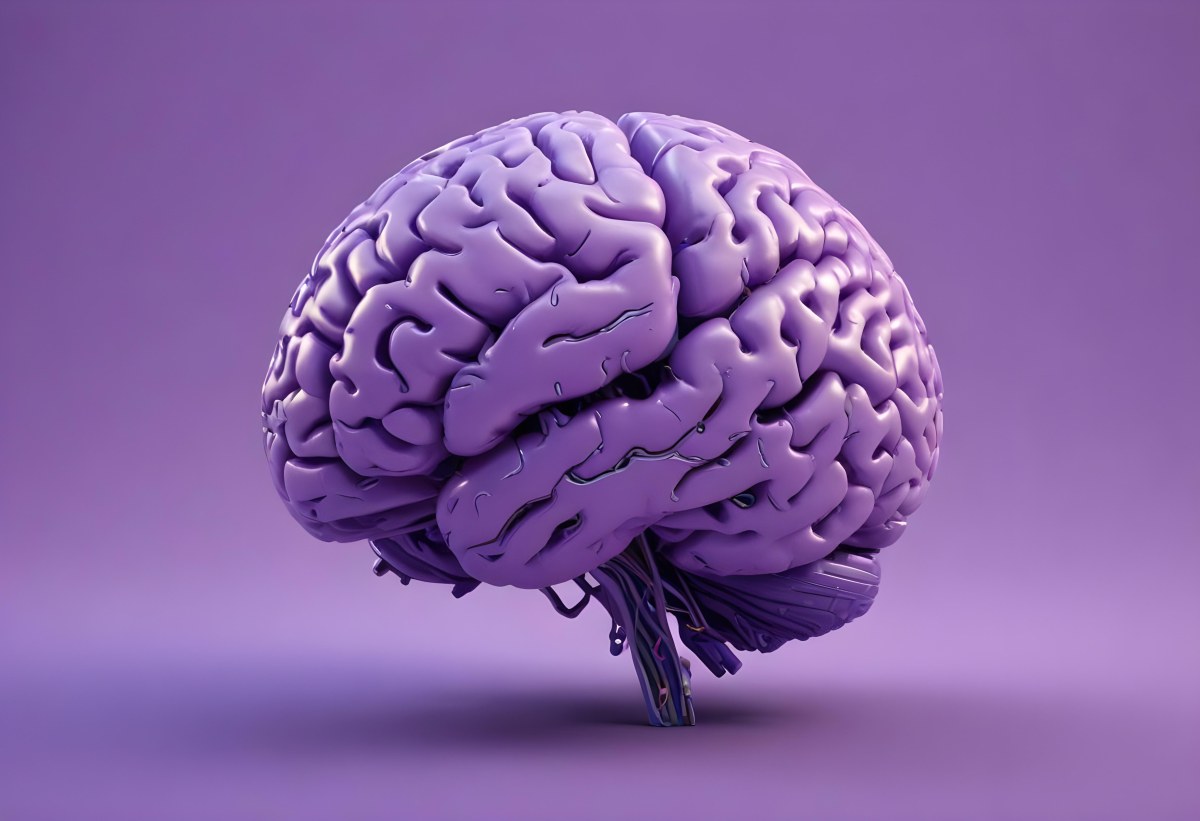A Brain With A Neural Network Around It Purple Background Anatomical Detailed Intricate Realistic High Resolution Studio Lighting Clean 7 Bcba