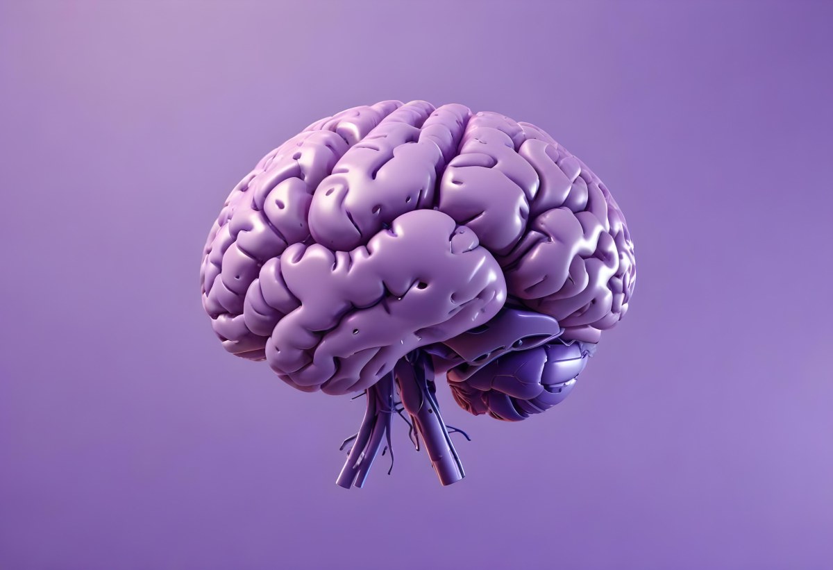 A Brain With A Neural Network Around It Purple Background Anatomical Detailed Intricate Realistic High Resolution Studio Lighting Clean 8 83d8