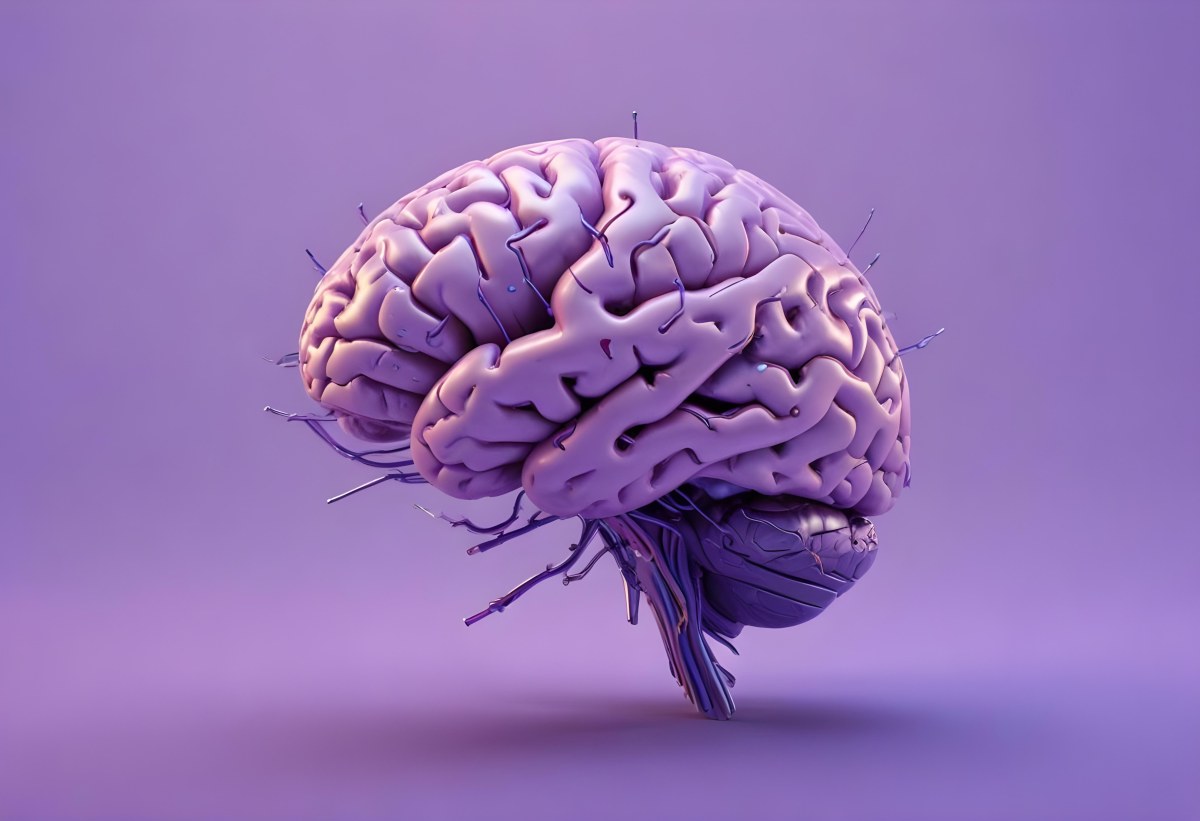 A Brain With A Neural Network Around It Purple Background Anatomical Detailed Intricate Realistic High Resolution Studio Lighting Clean 9 8e14
