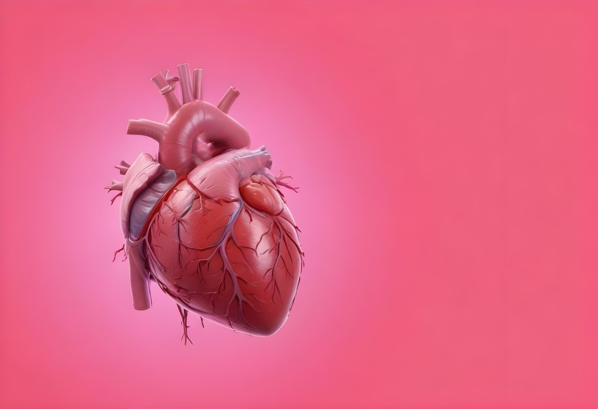 A Realistic Human Heart With Visible Veins And Arteries Detailed Texture Floating In The Air Vibrant Pink Background Dramatic Lighting Anatomical Accuracy Medical Illustration 1 461e