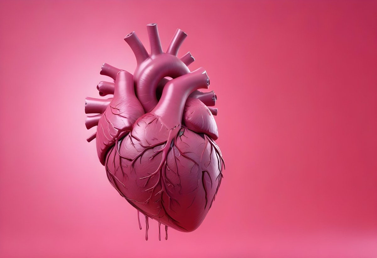 A Realistic Human Heart With Visible Veins And Arteries Detailed Texture Floating In The Air Vibrant Pink Background Dramatic Lighting Anatomical Accuracy Medical Illustration 12 Ef10