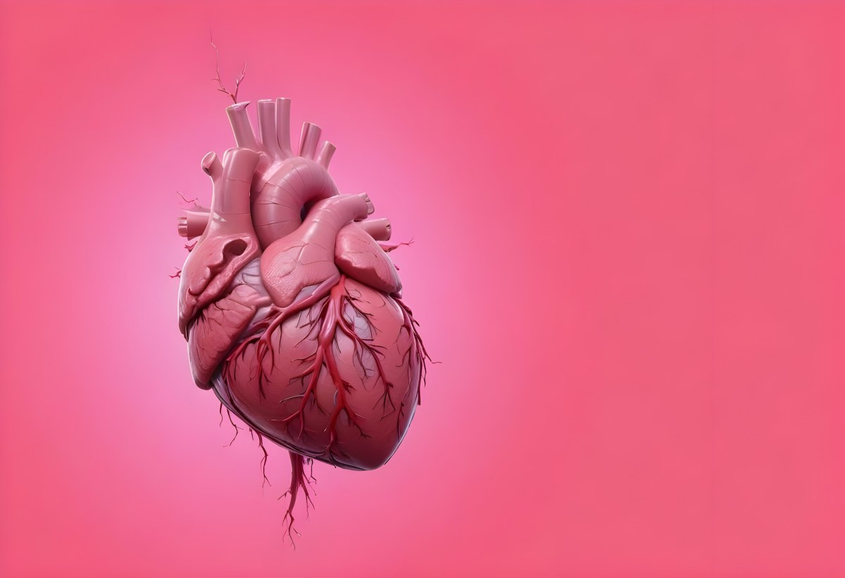 A Realistic Human Heart With Visible Veins And Arteries Detailed Texture Floating In The Air Vibrant Pink Background Dramatic Lighting Anatomical Accuracy Medical Illustration 13 8cc2