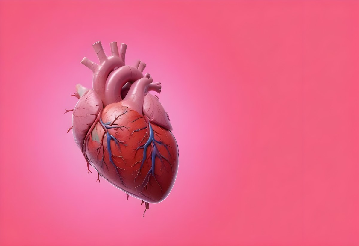 A Realistic Human Heart With Visible Veins And Arteries Detailed Texture Floating In The Air Vibrant Pink Background Dramatic Lighting Anatomical Accuracy Medical Illustration 18 5e1c