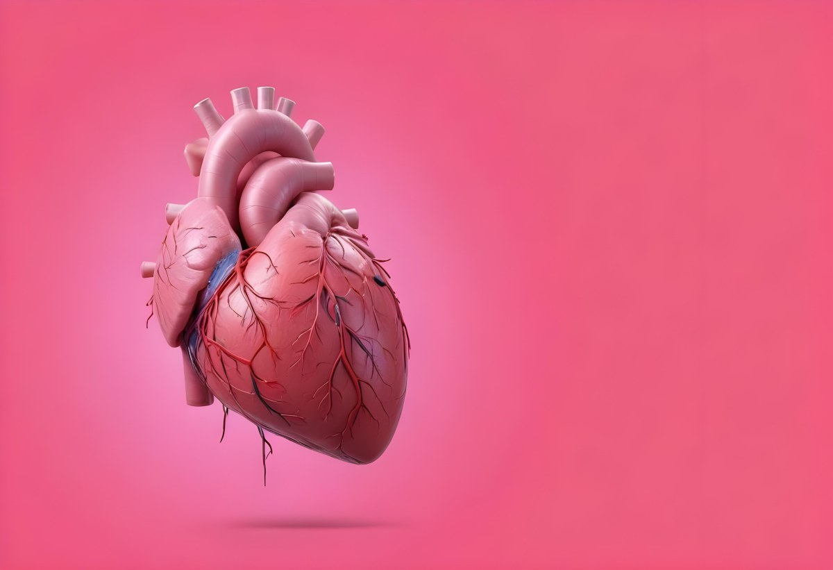 A Realistic Human Heart With Visible Veins And Arteries Detailed Texture Floating In The Air Vibrant Pink Background Dramatic Lighting Anatomical Accuracy Medical Illustration 21 Fa0b