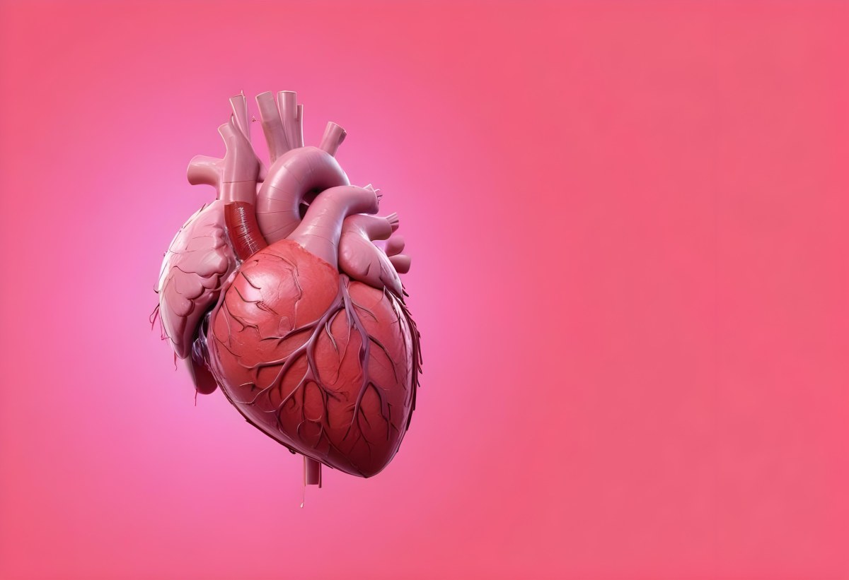 A Realistic Human Heart With Visible Veins And Arteries Detailed Texture Floating In The Air Vibrant Pink Background Dramatic Lighting Anatomical Accuracy Medical Illustration 28 7fba