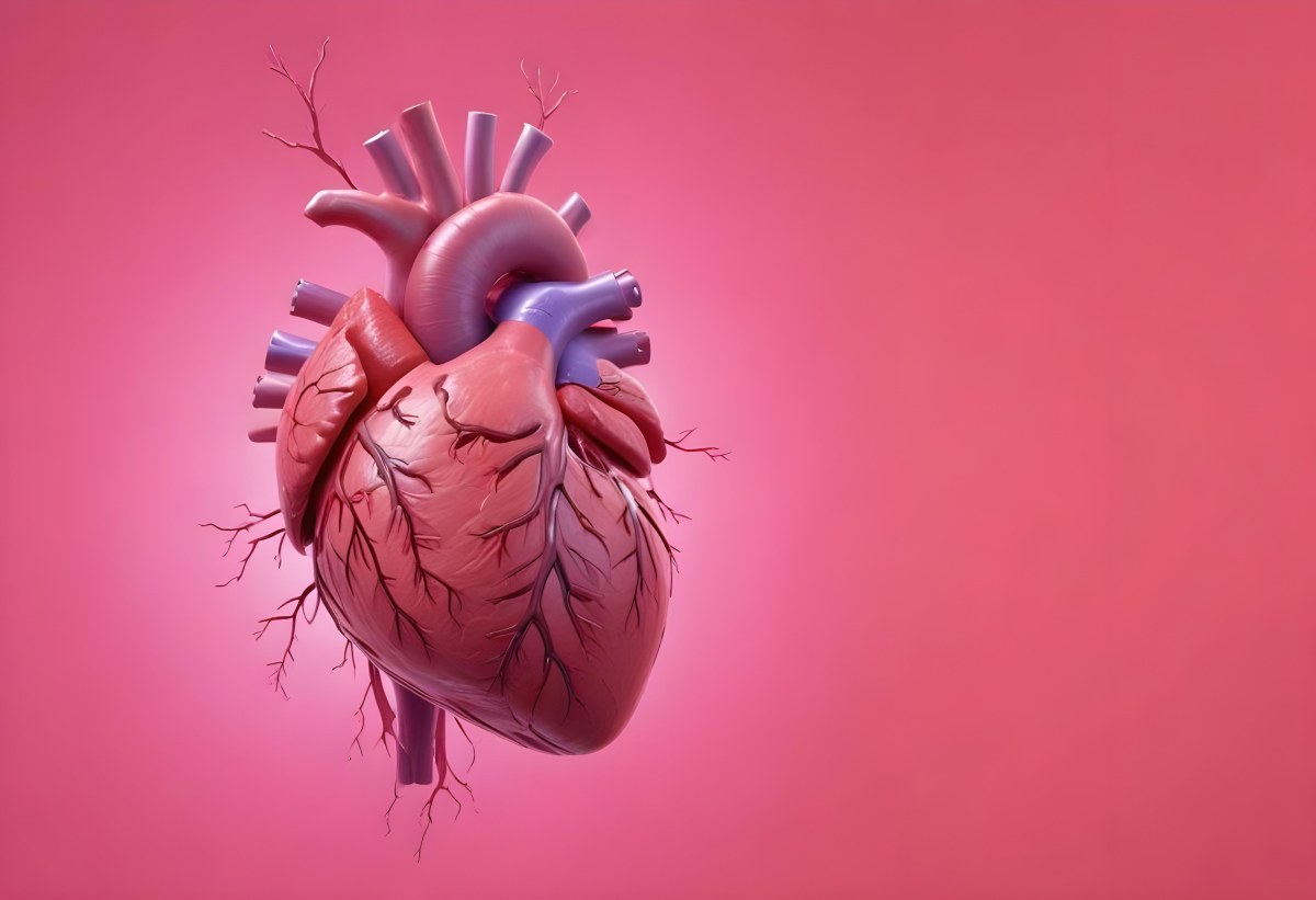 A Realistic Human Heart With Visible Veins And Arteries Detailed Texture Floating In The Air Vibrant Pink Background Dramatic Lighting Anatomical Accuracy Medical Illustration 31 A2b3