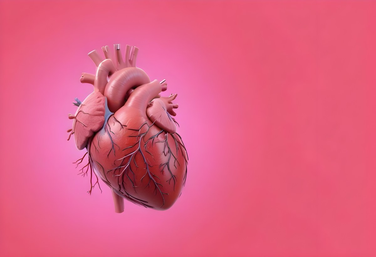 A Realistic Human Heart With Visible Veins And Arteries Detailed Texture Floating In The Air Vibrant Pink Background Dramatic Lighting Anatomical Accuracy Medical Illustration 34 2c5b