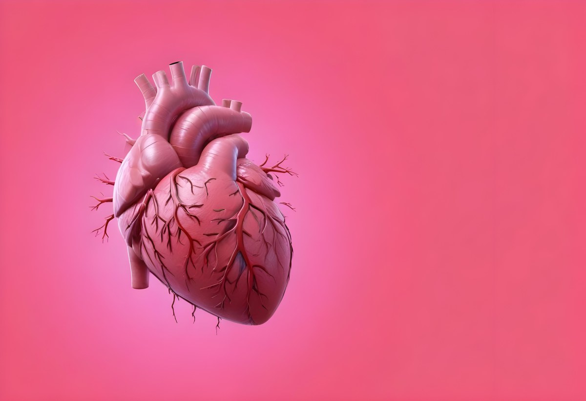 A Realistic Human Heart With Visible Veins And Arteries Detailed Texture Floating In The Air Vibrant Pink Background Dramatic Lighting Anatomical Accuracy Medical Illustration 37 4b51