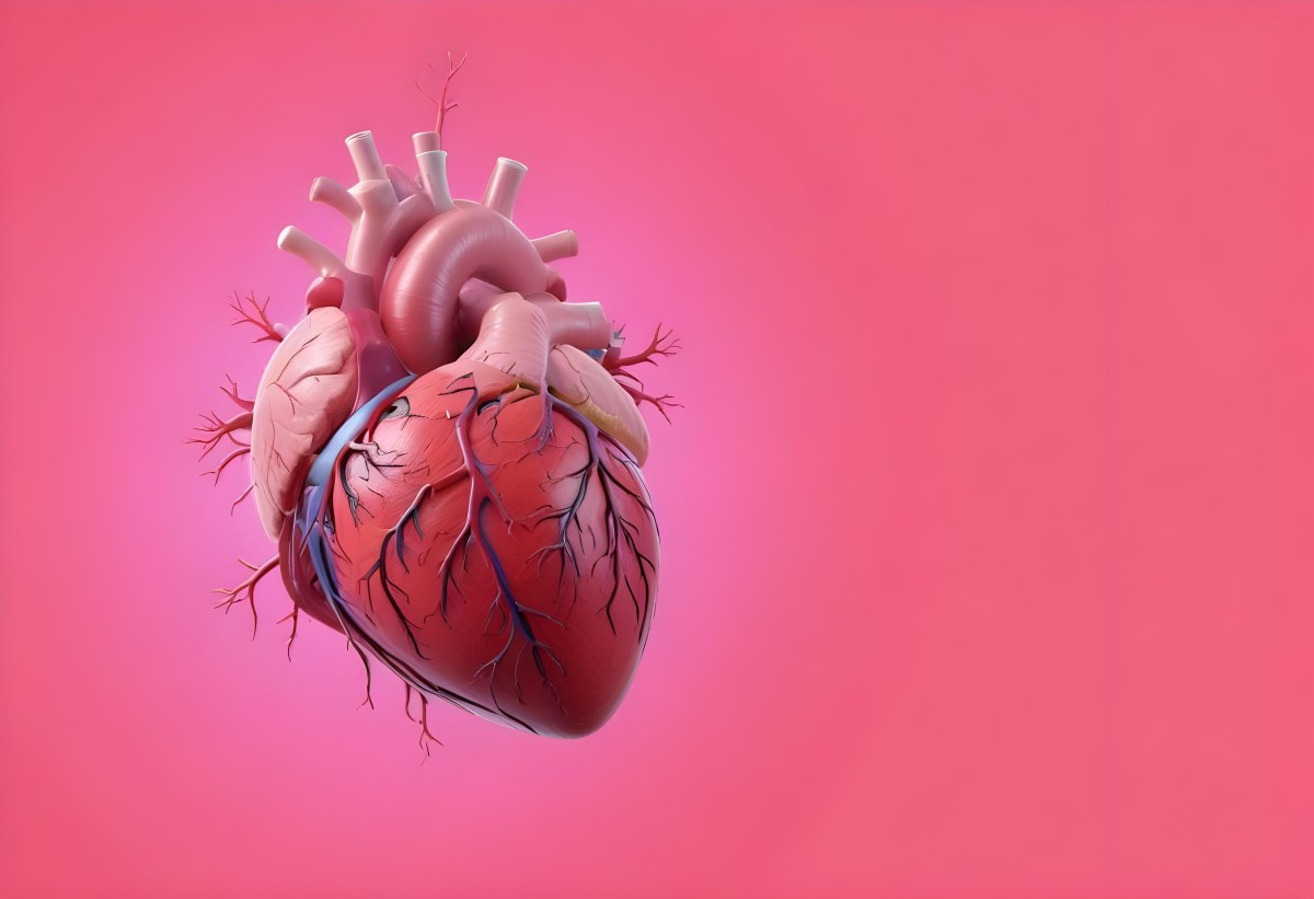 A Realistic Human Heart With Visible Veins And Arteries Detailed Texture Floating In The Air Vibrant Pink Background Dramatic Lighting Anatomical Accuracy Medical Illustration 40 6ab1