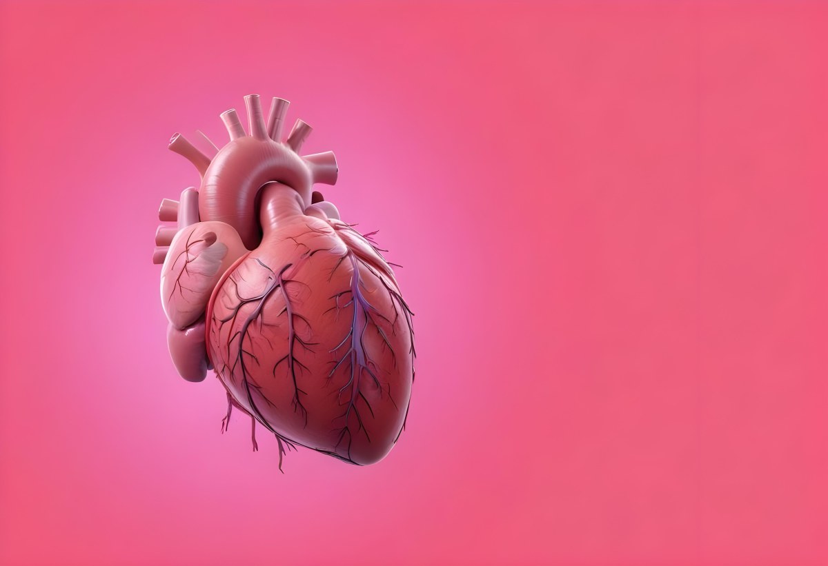 A Realistic Human Heart With Visible Veins And Arteries Detailed Texture Floating In The Air Vibrant Pink Background Dramatic Lighting Anatomical Accuracy Medical Illustration 41 87ba