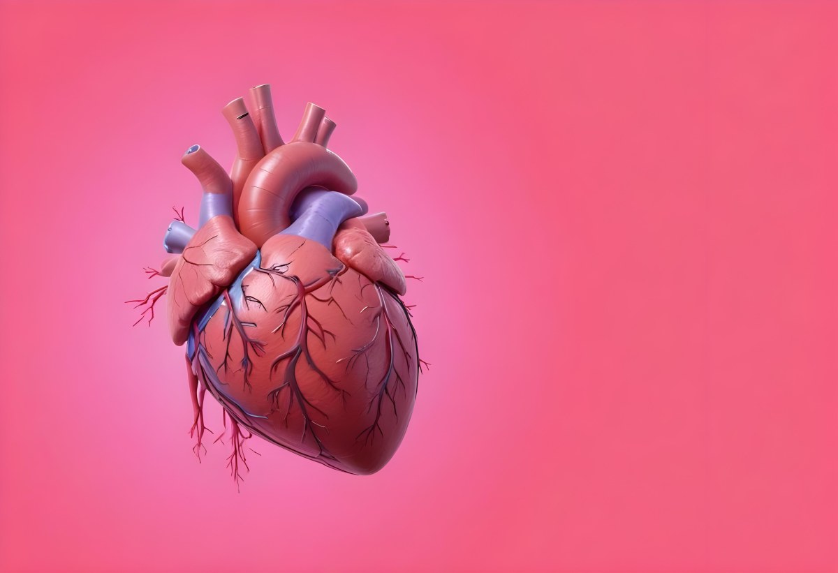 A Realistic Human Heart With Visible Veins And Arteries Detailed Texture Floating In The Air Vibrant Pink Background Dramatic Lighting Anatomical Accuracy Medical Illustration 43 08b3