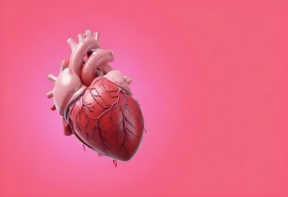A Realistic Human Heart With Visible Veins And Arteries Detailed Texture Floating In The Air Vibrant Pink Background Dramatic Lighting Anatomical Accuracy Medical Illustration 46 374e