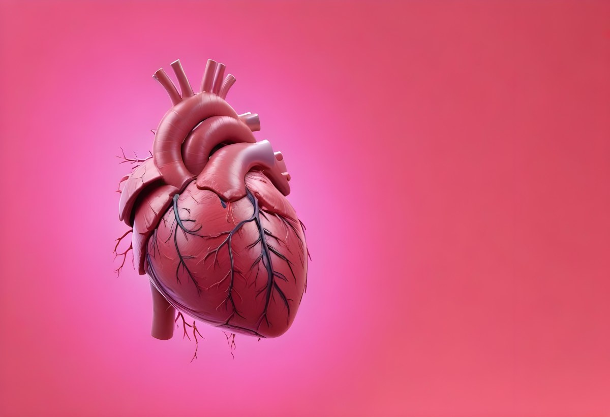 A Realistic Human Heart With Visible Veins And Arteries Detailed Texture Floating In The Air Vibrant Pink Background Dramatic Lighting Anatomical Accuracy Medical Illustration 5 503b