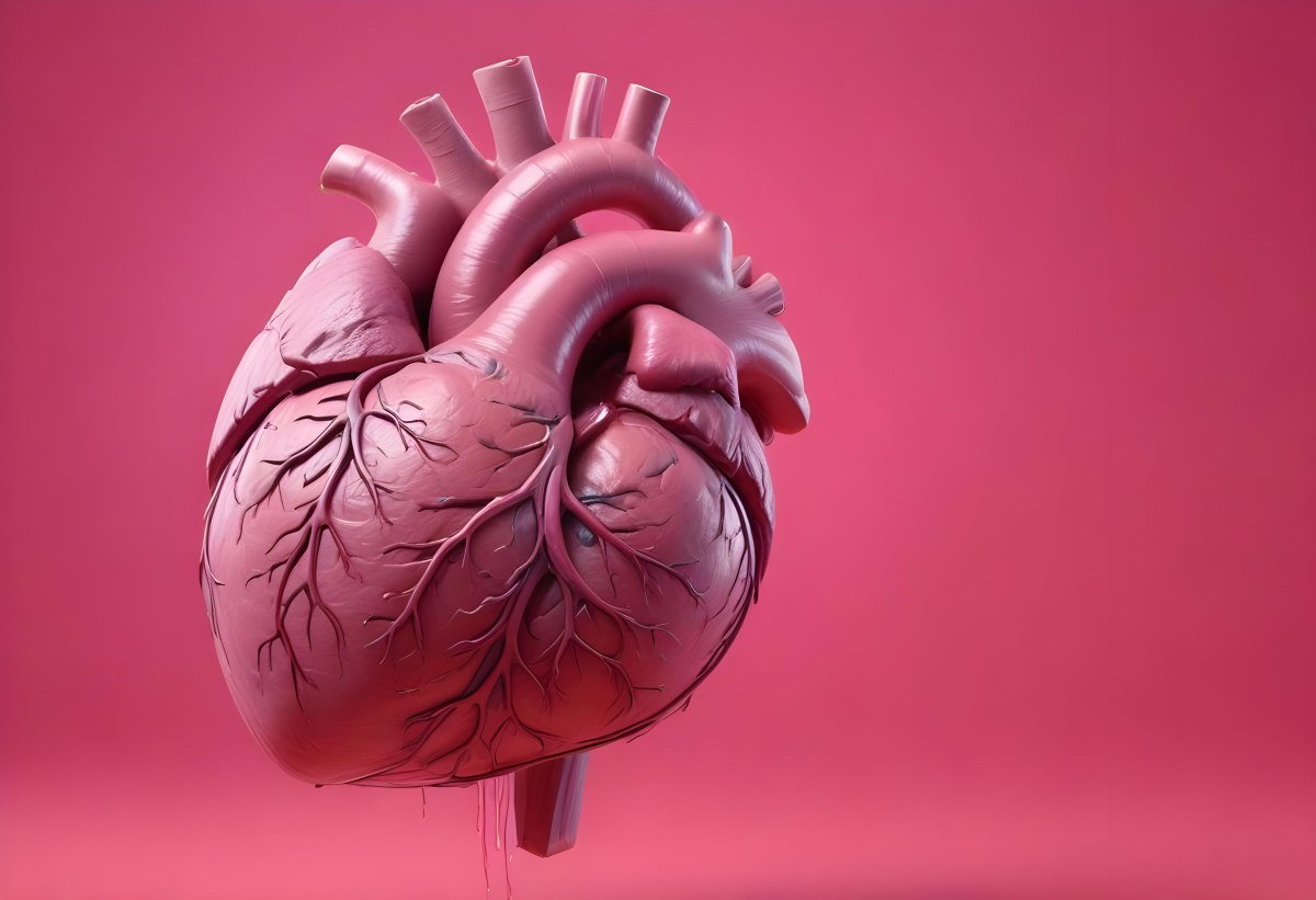 A Realistic Human Heart With Visible Veins And Arteries Detailed Texture Floating In The Air Vibrant Pink Background Dramatic Lighting Anatomical Accuracy Medical Illustration 6 1419
