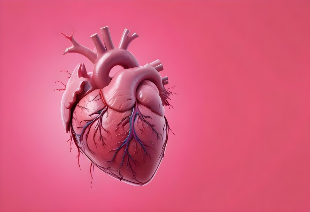A Realistic Human Heart With Visible Veins And Arteries Detailed Texture Floating In The Air Vibrant Pink Background Dramatic Lighting Anatomical Accuracy Medical Illustration 7 Bd87