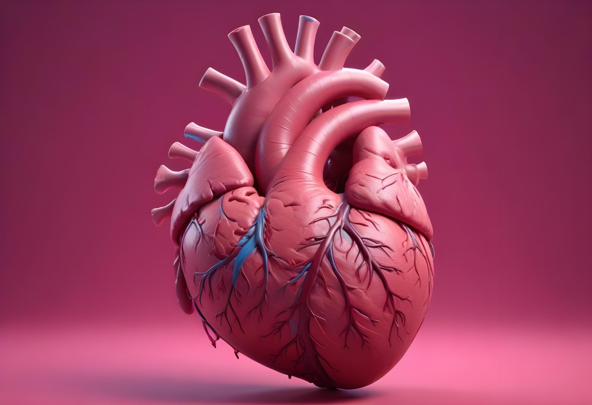 A Realistic Human Heart With Visible Veins And Arteries Detailed Texture Floating In The Air Vibrant Pink Background Dramatic Lighting Anatomical Accuracy Medical Illustration 8 6d84