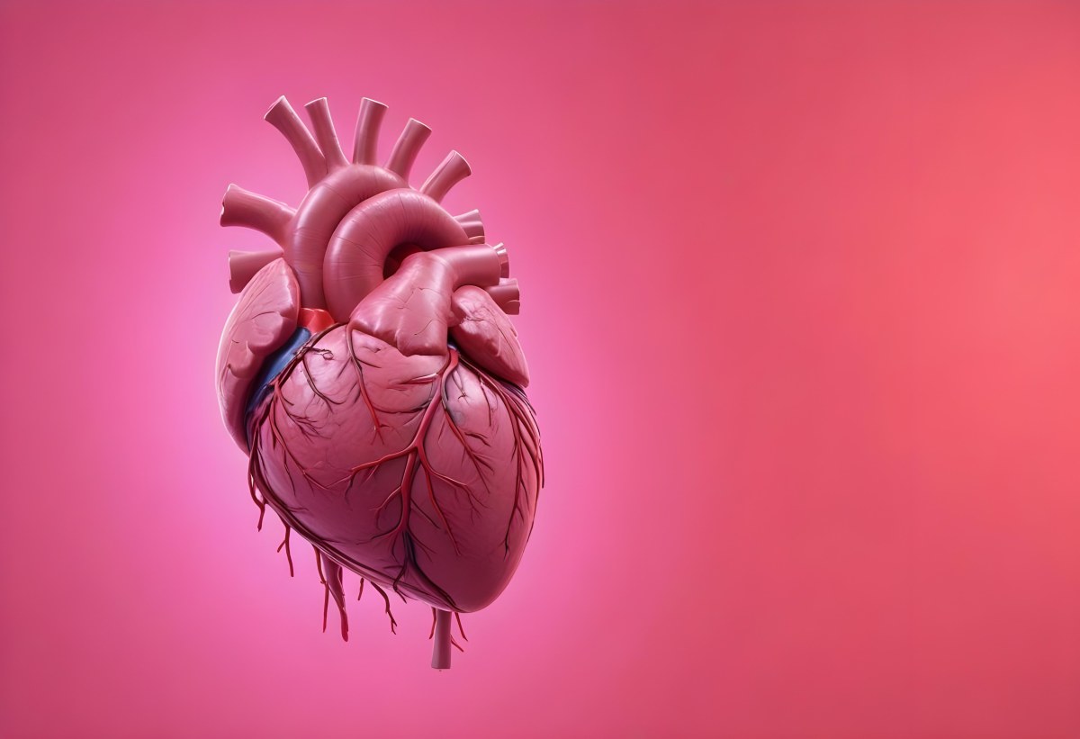 A Realistic Human Heart With Visible Veins And Arteries Detailed Texture Floating In The Air Vibrant Pink Background Dramatic Lighting Anatomical Accuracy Medical Illustration 9 4993