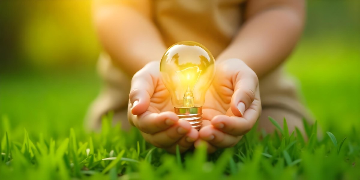 Child S Hands Holding A Light Bulb Lush Green Grass With Bokeh Effect Bright Sunlight Concept Of Environmental Conservation And Sustainable Energy 9 7884