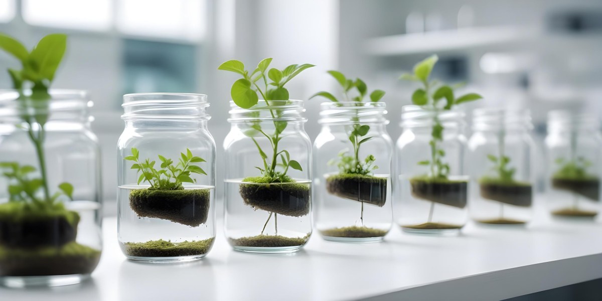 Row Of Glass Jars Filled With Water And Small Green Plants Laboratory Environment With Blurred Equipment In The Background Bright And Clean 17 4d47