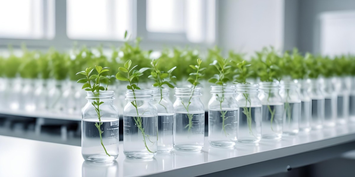Row Of Glass Jars Filled With Water And Small Green Plants Laboratory Environment With Blurred Equipment In The Background Bright And Clean 2 Bba8