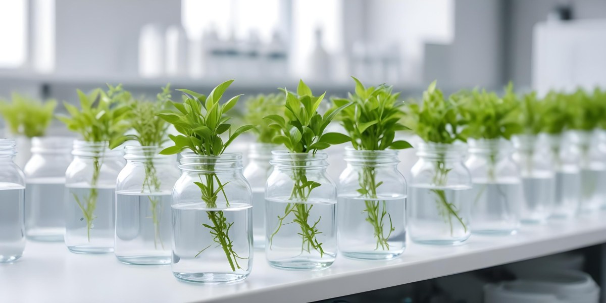Row Of Glass Jars Filled With Water And Small Green Plants Laboratory Environment With Blurred Equipment In The Background Bright And Clean 23 937b