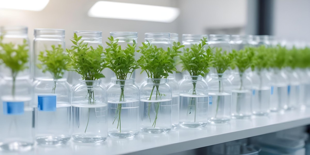 Row Of Glass Jars Filled With Water And Small Green Plants Laboratory Environment With Blurred Equipment In The Background Bright And Clean 29 Ecde