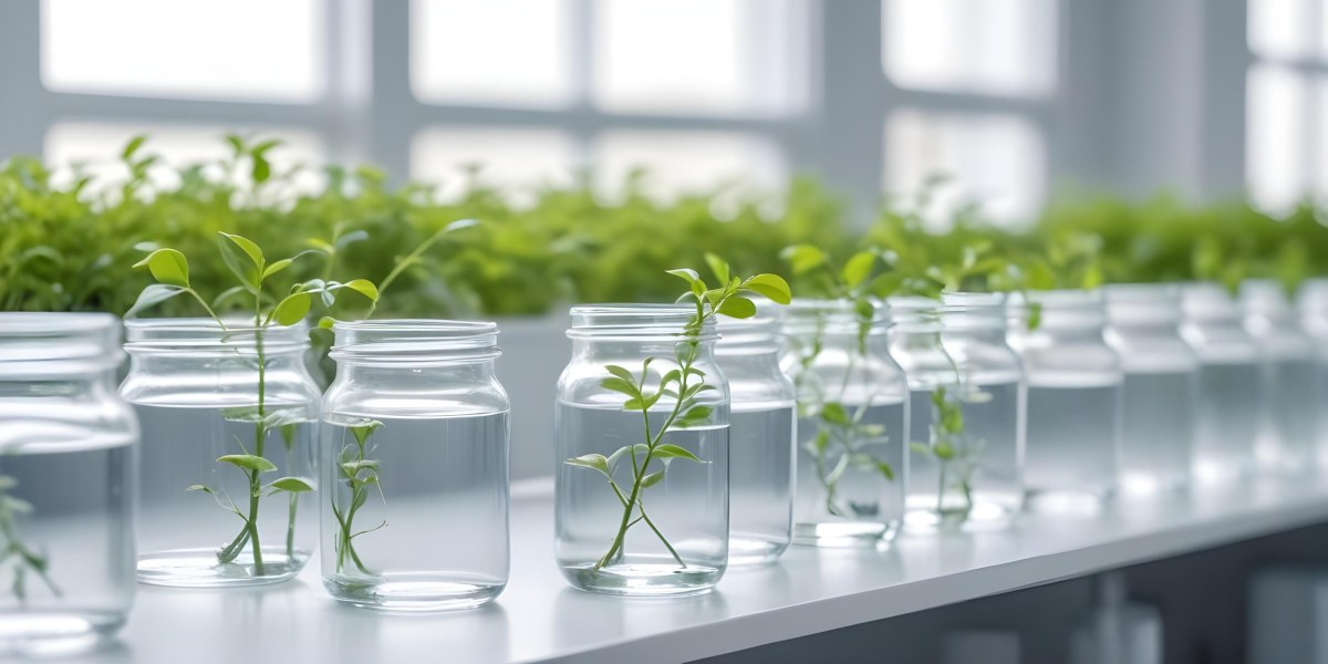 Row Of Glass Jars Filled With Water And Small Green Plants Laboratory Environment With Blurred Equipment In The Background Bright And Clean 3 B7d4
