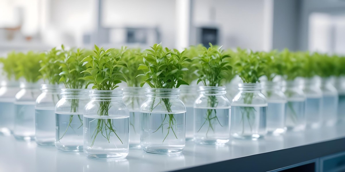 Row Of Glass Jars Filled With Water And Small Green Plants Laboratory Environment With Blurred Equipment In The Background Bright And Clean 33 6267