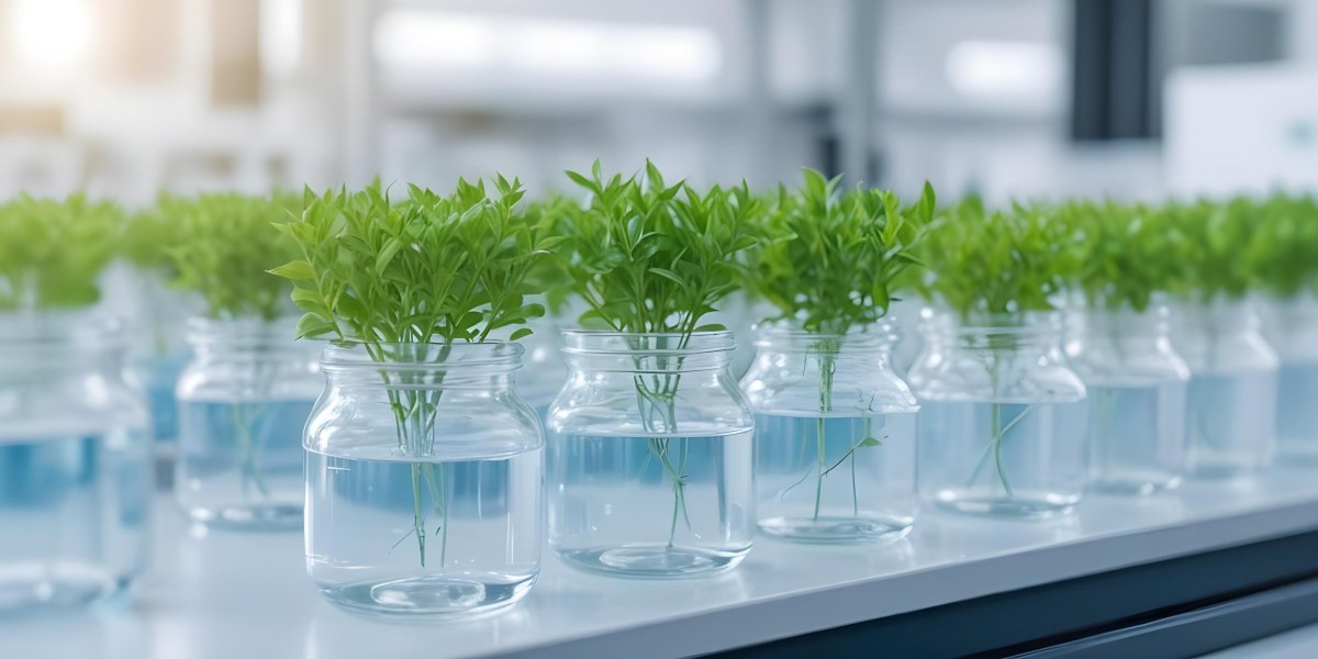 Row Of Glass Jars Filled With Water And Small Green Plants Laboratory Environment With Blurred Equipment In The Background Bright And Clean 4 Dd83