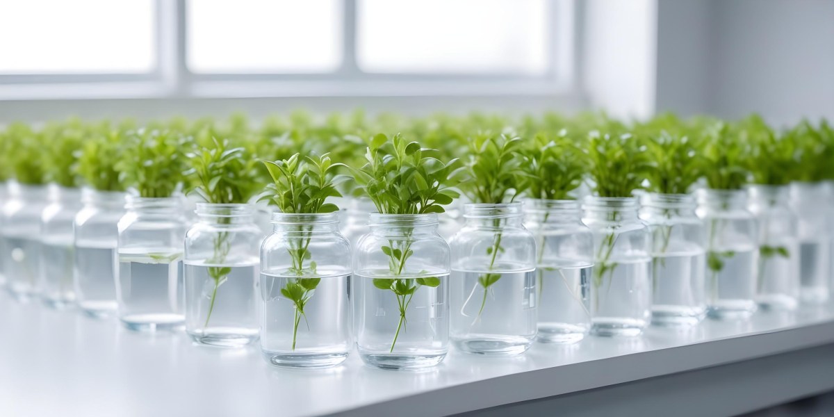 Row Of Glass Jars Filled With Water And Small Green Plants Laboratory Environment With Blurred Equipment In The Background Bright And Clean 5 8664