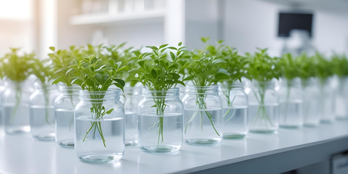 Row Of Glass Jars Filled With Water And Small Green Plants Laboratory Environment With Blurred Equipment In The Background Bright And Clean 6 Ea07