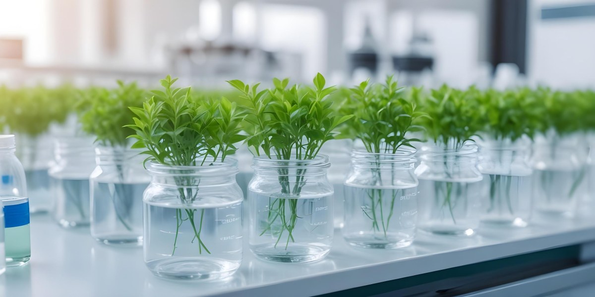 Row Of Glass Jars Filled With Water And Small Green Plants Laboratory Environment With Blurred Equipment In The Background Bright And Clean 8 984c