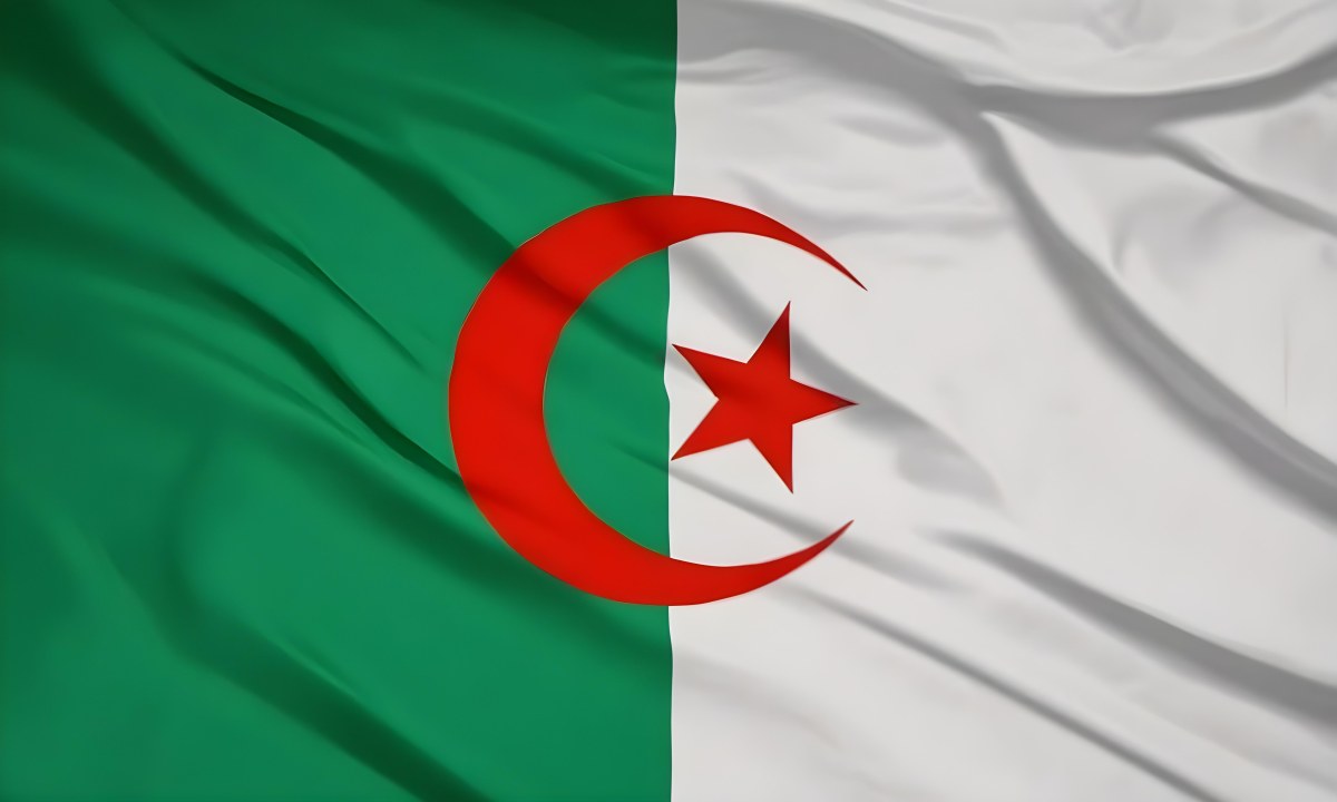 Digital Painting Flag Of Algeria Bold And Slim Lines Brush Strokes 11 Aded