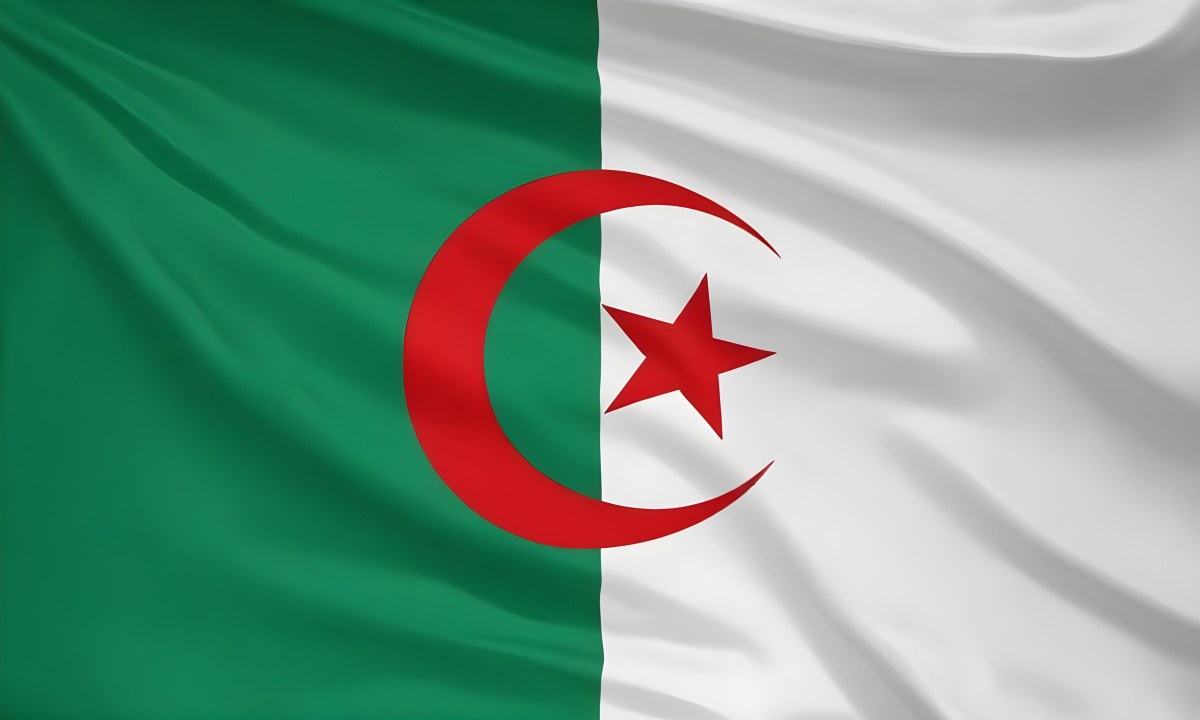 Digital Painting Flag Of Algeria Bold And Slim Lines Brush Strokes 12 Fedb