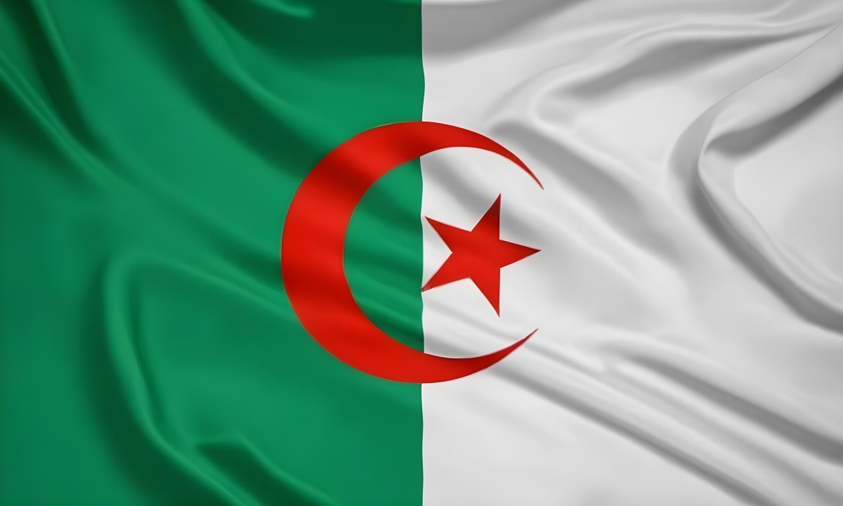 Digital Painting Flag Of Algeria Bold And Slim Lines Brush Strokes 15 495c