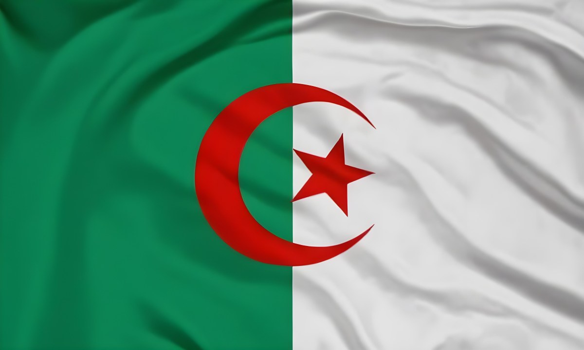 Digital Painting Flag Of Algeria Bold And Slim Lines Brush Strokes 16 146b