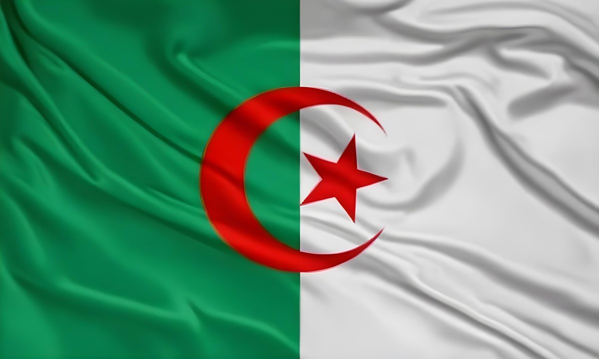 Digital Painting Flag Of Algeria Bold And Slim Lines Brush Strokes 20 Ce12