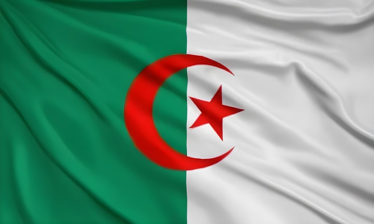 Digital Painting Flag Of Algeria Bold And Slim Lines Brush Strokes 21 2904