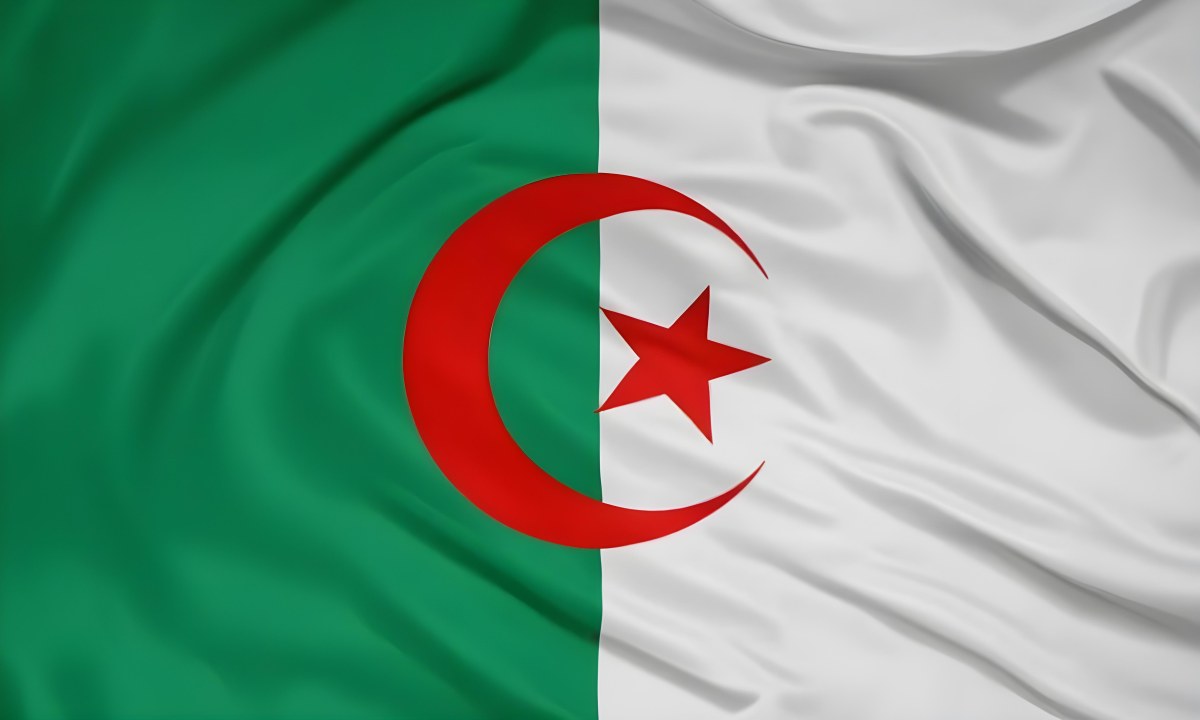 Digital Painting Flag Of Algeria Bold And Slim Lines Brush Strokes 24 A54d