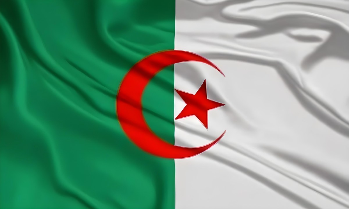 Digital Painting Flag Of Algeria Bold And Slim Lines Brush Strokes 25 6736
