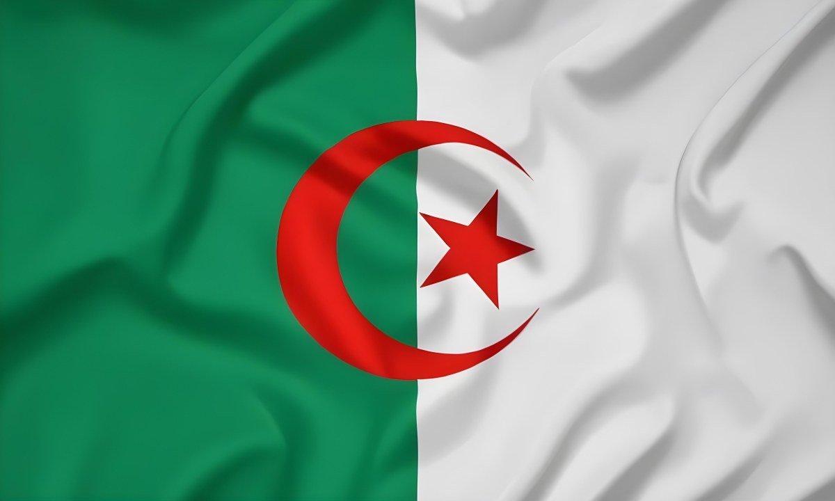 Digital Painting Flag Of Algeria Bold And Slim Lines Brush Strokes 29 1ab8