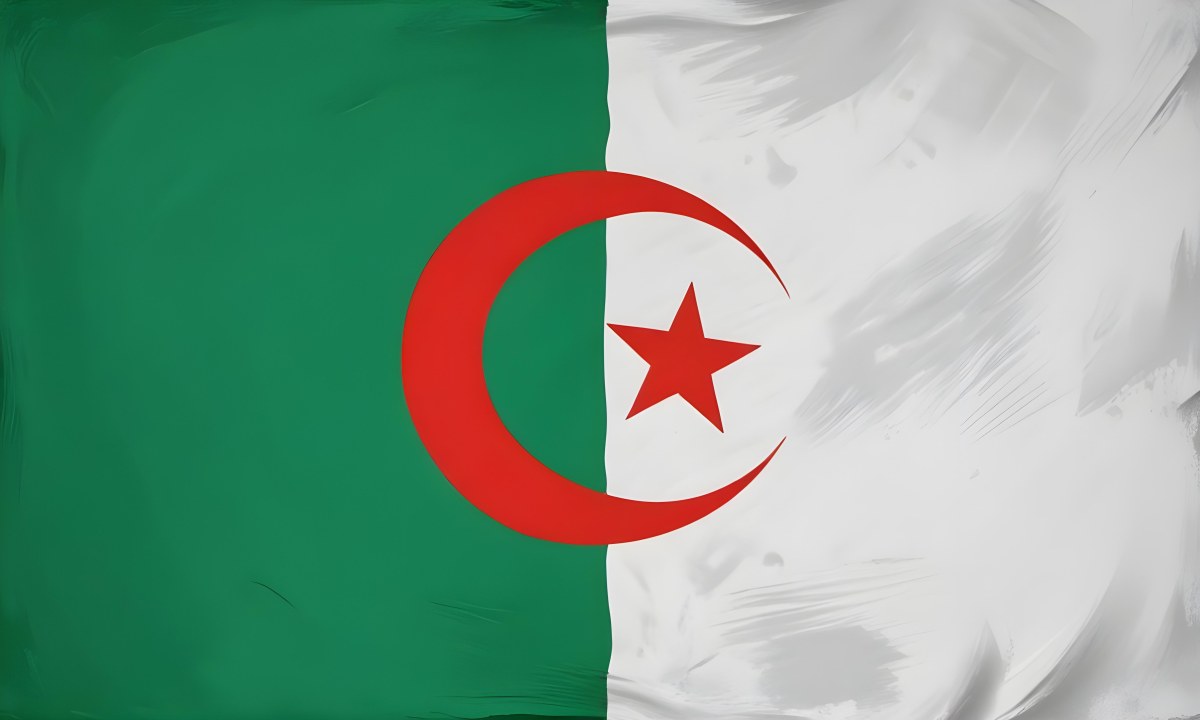 Digital Painting Flag Of Algeria Bold And Slim Lines Brush Strokes 3 6f9d