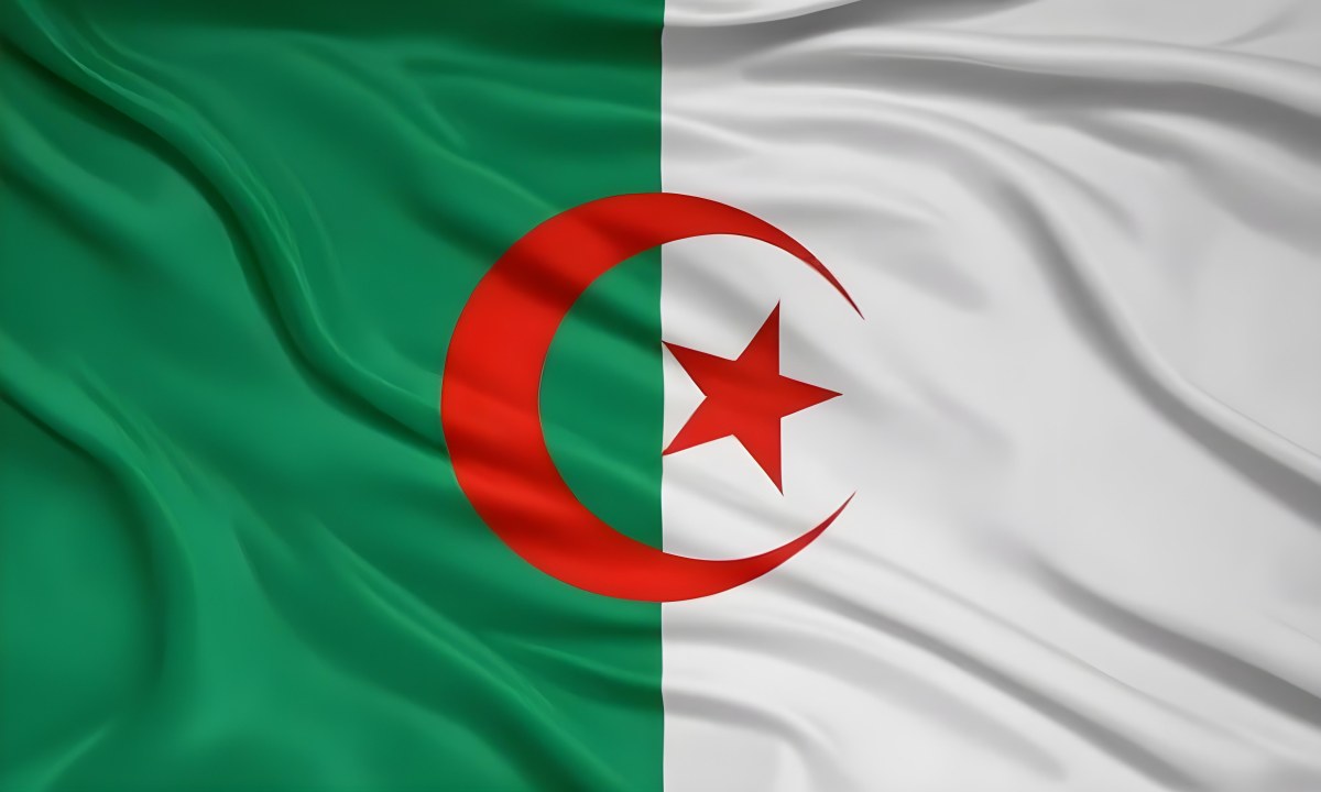 Digital Painting Flag Of Algeria Bold And Slim Lines Brush Strokes 31 1a21