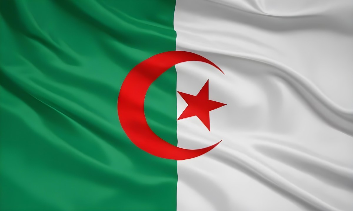 Digital Painting Flag Of Algeria Bold And Slim Lines Brush Strokes 34 50e4