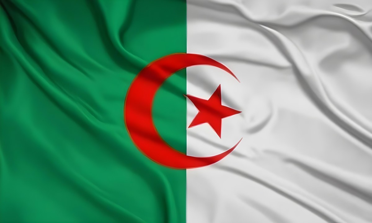 Digital Painting Flag Of Algeria Bold And Slim Lines Brush Strokes 4 6679