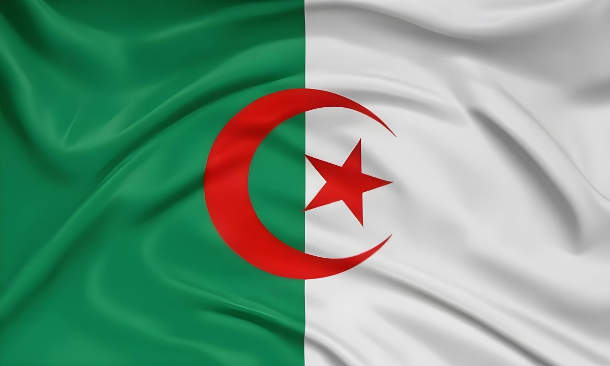 Digital Painting Flag Of Algeria Bold And Slim Lines Brush Strokes 6 Ee17