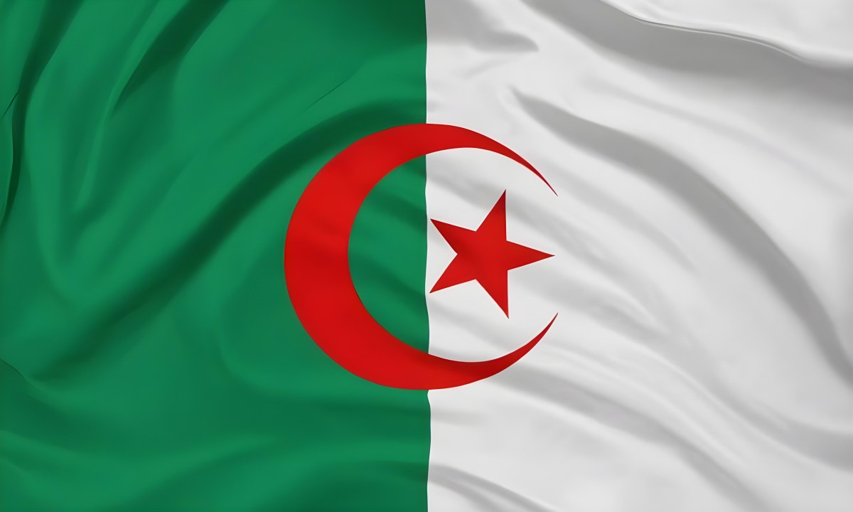 Digital Painting Flag Of Algeria Bold And Slim Lines Brush Strokes 7 7ff6
