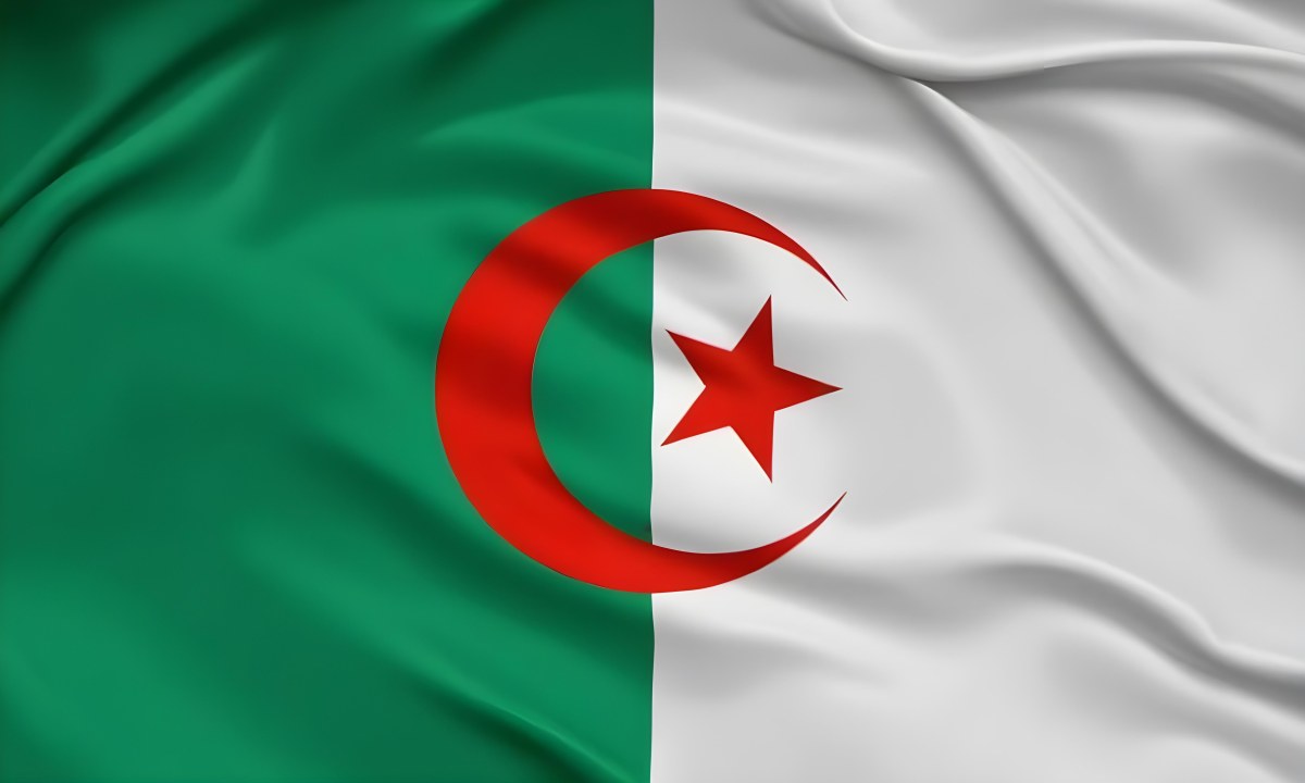 Digital Painting Flag Of Algeria Bold And Slim Lines Brush Strokes 8 6da4